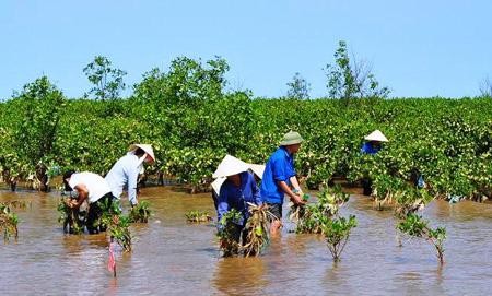 世界银行帮助越南应对气候变化和实现绿色增长 - ảnh 1