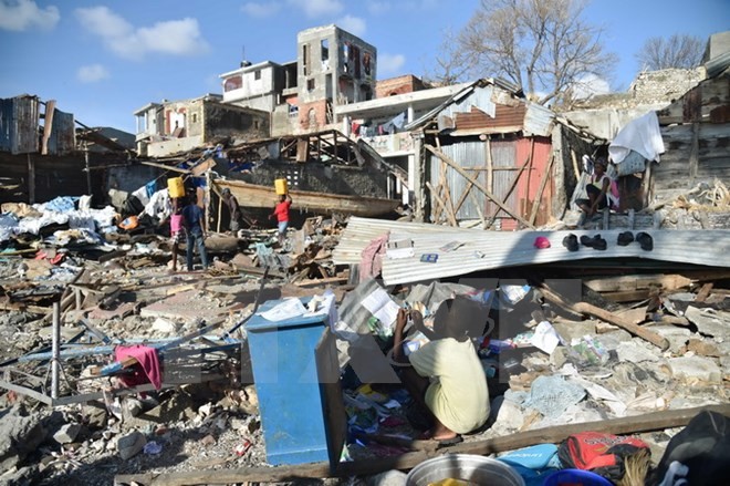 联合国呼吁国际社会向海地提供援助 - ảnh 1