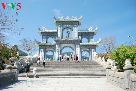 岘港市的蓝宝石——山茶 - ảnh 4