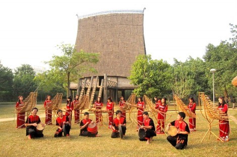 西原地区各族同胞的传统乐器——特龙琴 - ảnh 2
