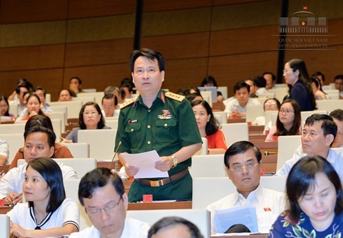 越南国会讨论《森林保护与发展法修正案（草案）》 - ảnh 1
