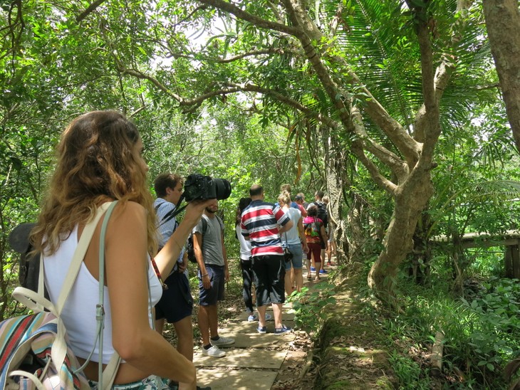 泰山岛居民开展生态旅游 - ảnh 1