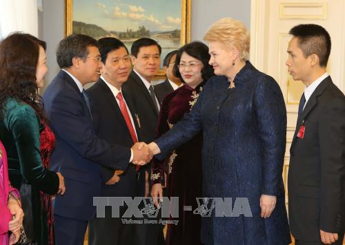 Việt Nam thúc đẩy quan hệ hữu nghị truyền thống và hợp tác nhiều mặt với Litva - ảnh 1