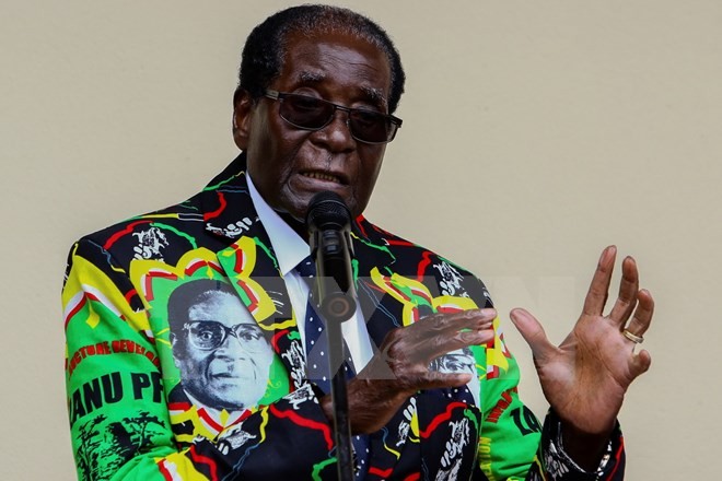 津巴布韦总统穆加贝要求举行内阁会议 - ảnh 1
