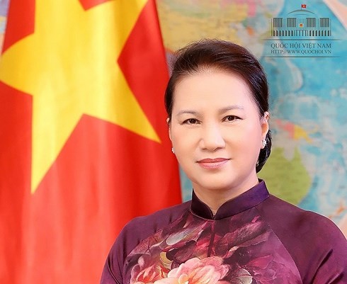  越南国会主席阮氏金银启程对新加坡和澳大利亚进行正式访问 - ảnh 1