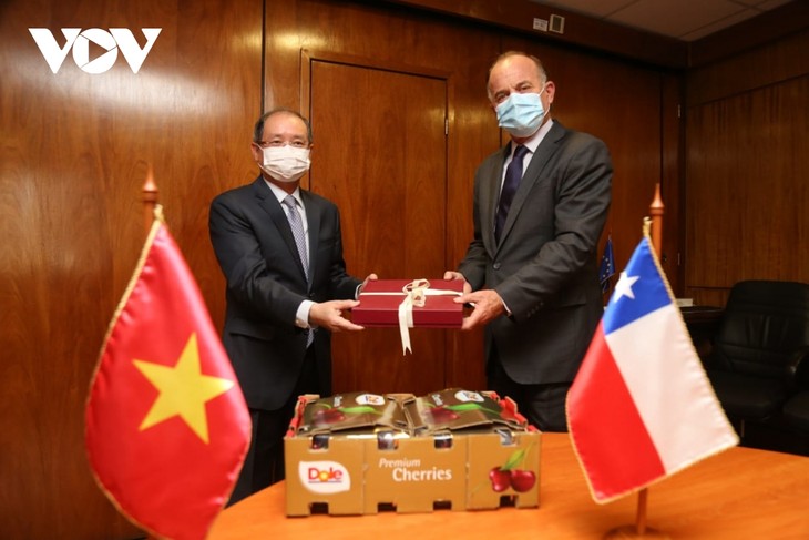 越南和智利加强农业领域合作 - ảnh 1