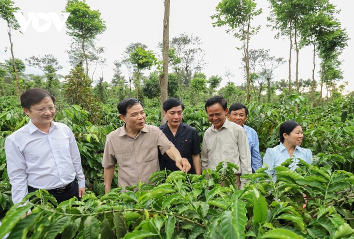 越南咖啡产业自我更新、持续创新、积极融入谋求发展 - ảnh 1