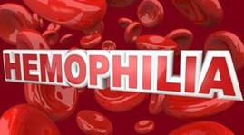 Meeting to mark World Hemophilia Day April 17 - ảnh 1