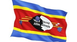 Vietnam, Swaziland establish diplomatic ties - ảnh 1