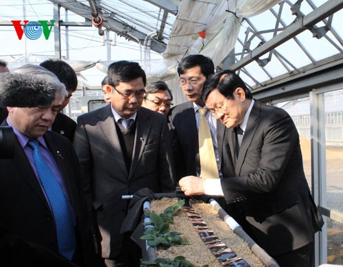 State President Truong Tan Sang visits Japan - ảnh 2
