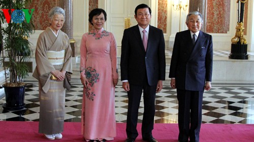 Enhancing Vietnamese-Japanese comprehensive strategic cooperation  - ảnh 1