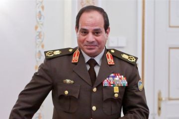 Egypt: challenges after the presidential election  - ảnh 1