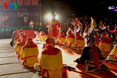 Fish praying festival in coastal Vietnam  - ảnh 7