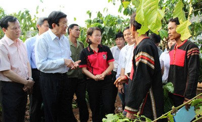 New rural development in Cu M’ga, Dak Lak - ảnh 3