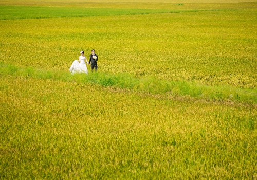 Japanese couple’s photos capture beautiful landscapes in Vietnam - ảnh 10