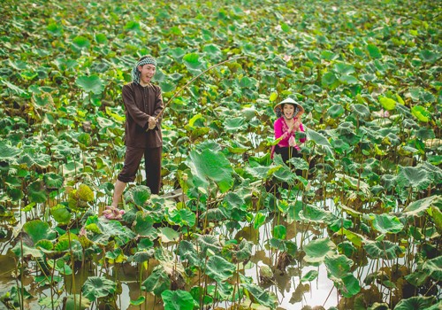 Japanese couple’s photos capture beautiful landscapes in Vietnam - ảnh 5