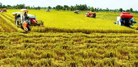 Vietnam joins the Global Alliance for Climate Smart Agriculture  - ảnh 1