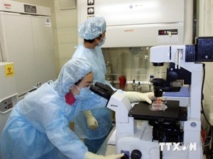 Vietnam capable of conducting Ebola tests - ảnh 1