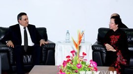 Vietnam, Africa pledge to bolster bilateral ties - ảnh 1