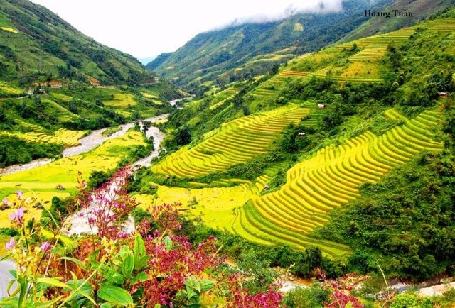 Muong Hoa- a romantic valley in Sapa - ảnh 1