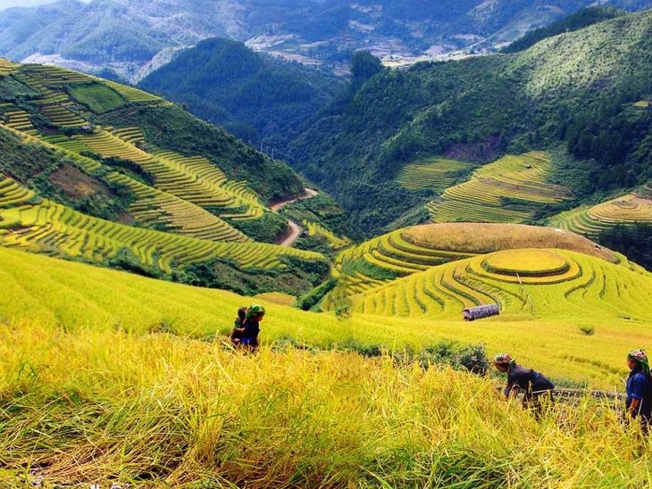Muong Hoa- a romantic valley in Sapa - ảnh 2