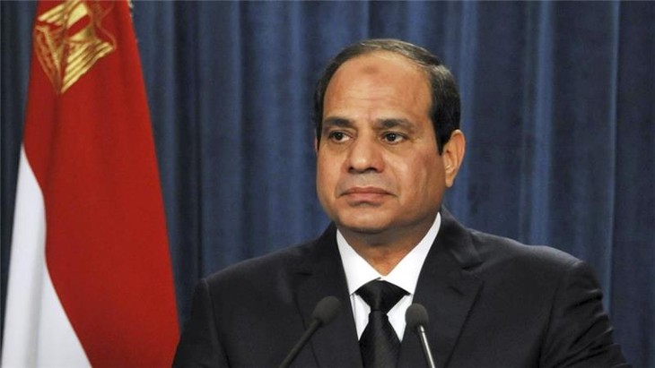 Egypt reshuffles cabinet - ảnh 1