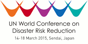 VN’s Vice President attends 3rd UN World Conference on Disaster Risk Reduction  - ảnh 1