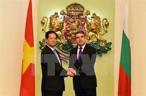 PM Dung makes fruitful international visits - ảnh 1