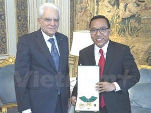 Vietnamese Ambassador to Italy receives Order of Merit - ảnh 1