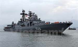 Russian Navy fleet visits Da Nang city - ảnh 1
