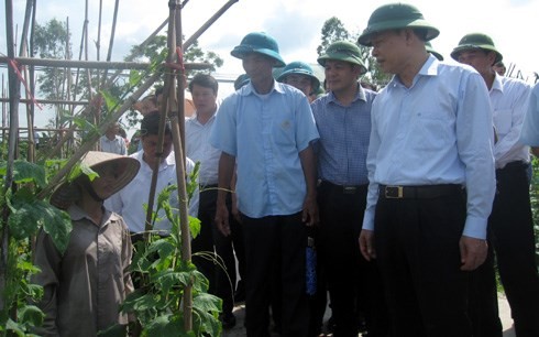 Deputy PM Vu Van Ninh visits Thai Binh - ảnh 1