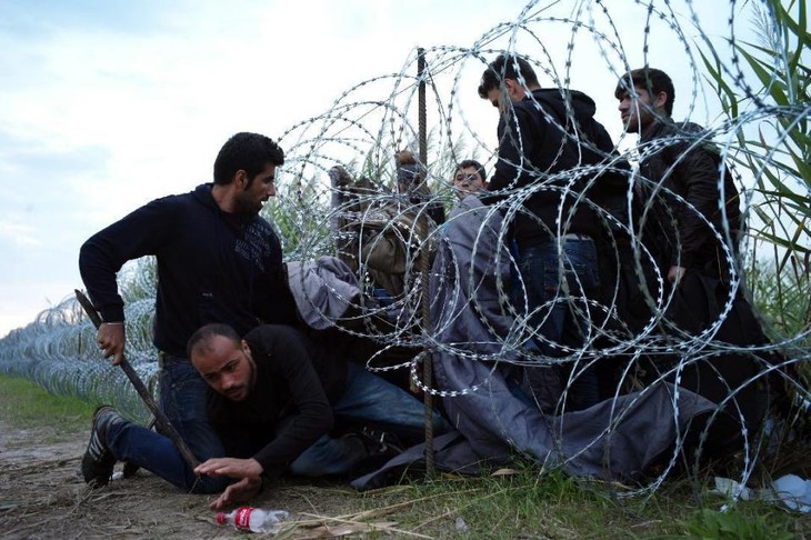 EU faces refugee challenge  - ảnh 1