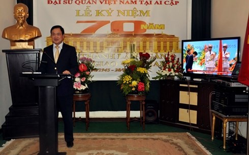 Diplomatic sector's anniversary marked abroad - ảnh 1
