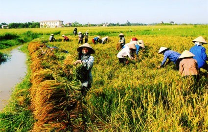 Dong Ha – Ha Giang’s first commune recognized as new-style rural area  - ảnh 1