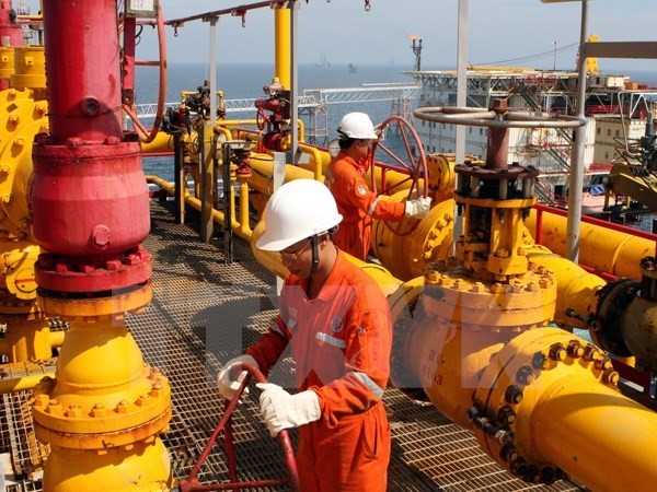 Gas collection and distribution system in Thai Binh inaugurated - ảnh 1