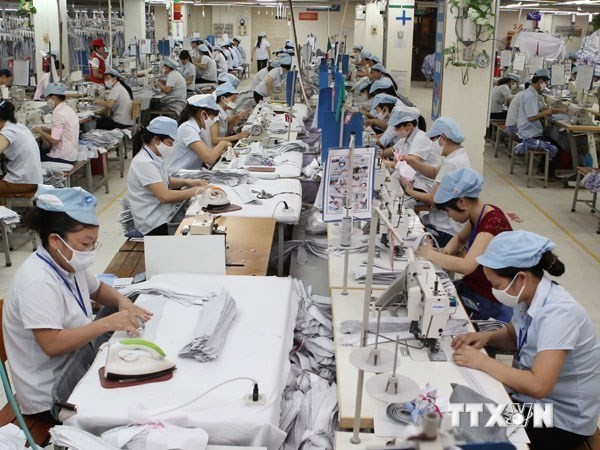 Vietnam’s economy predicted to enjoy great opportunities created by TPP - ảnh 1