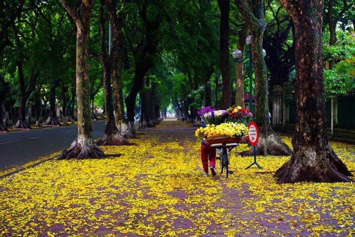 Hanoi's beauty in the season of falling leaves - ảnh 3