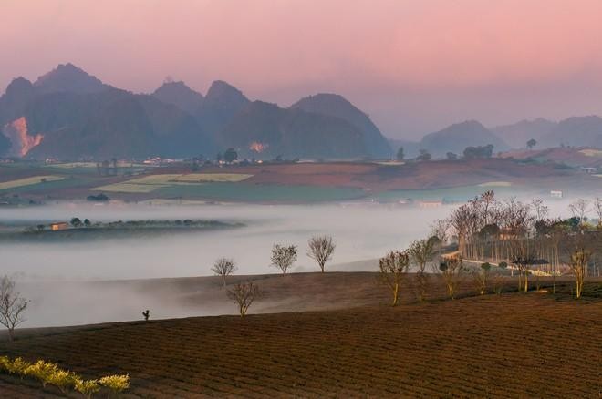 Magnificent beauty of Moc Chau in the dawn mist  - ảnh 5