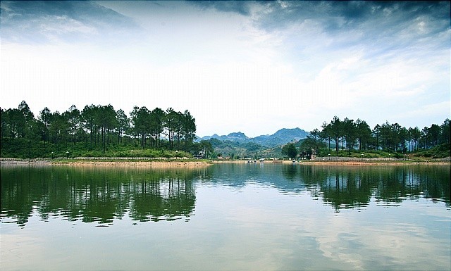 Magnificent beauty of Moc Chau in the dawn mist  - ảnh 11