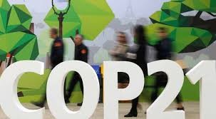 COP21: Climate deal due Saturday  - ảnh 1