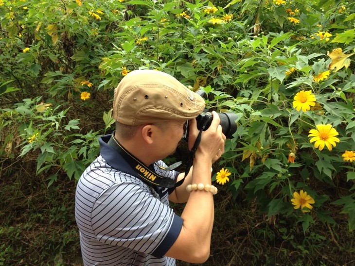 Wild sunflowers brighten Ba Vi National Park - ảnh 10