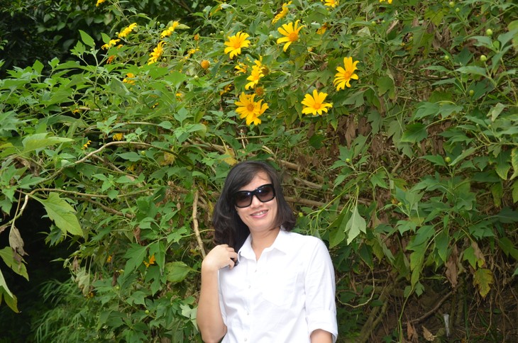 Wild sunflowers brighten Ba Vi National Park - ảnh 8