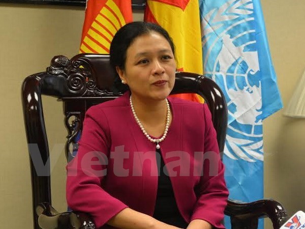 Vietnam faces opportunities, challenges in UN program realization - ảnh 1