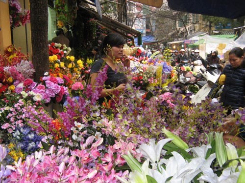 Hanoi welcomes the spring - ảnh 1