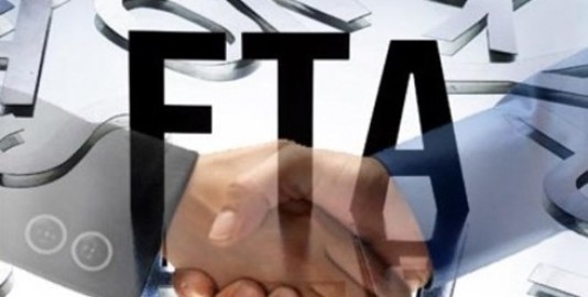 Kazakhstan Parliament ratifies FTA with Vietnam, Eurasian Economic Union - ảnh 1