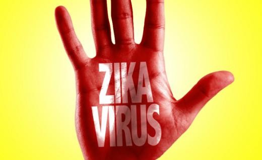 New Zika cases reported in China, France - ảnh 1