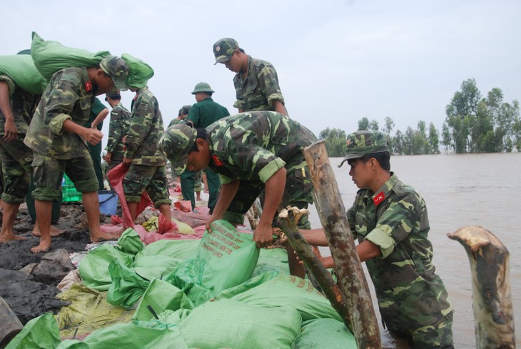 Vietnam participates in ASEAN’s training course on natural disaster rescue - ảnh 1