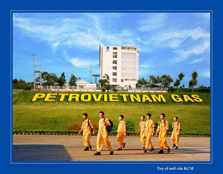 Developing Vietnam’s petro-gas to international level - ảnh 1
