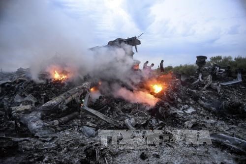 Malaysian lawyers propose bringing MH17 case to ICC - ảnh 1