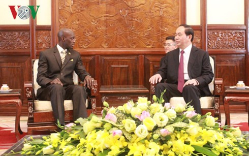 President Tran Dai Quang receives new Ambassadors - ảnh 5